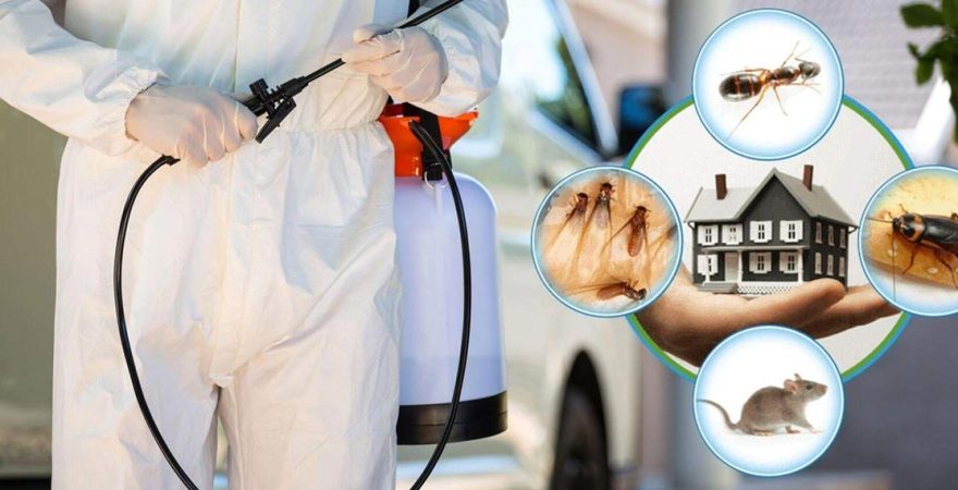 İnegöl Böcek İlaçlama
