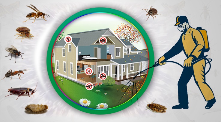 İnegöl Böcek İlaçlama