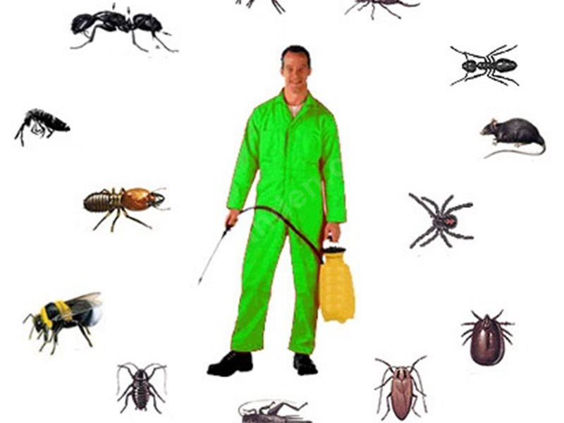 İnegöl Böcek İlaçlama